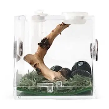 Roplių veisimosi dėžutė Terariumas Plastikinė roplių veisimo dėžutė Terariumo narvas Vabzdžių stebėjimo dėžutė vorų kriketo sraigės burui