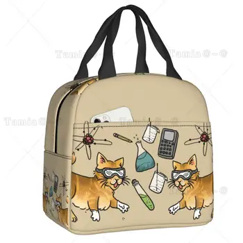 Katės izoliuotas pietų krepšys moterims Nešiojamas mokslas Chemija Biologinis aušintuvas Terminis pietų kasa Pikniko kelionės