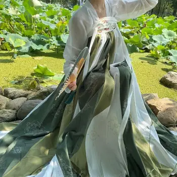 2023 Tradicinės moterys Spausdinti Hanfu suknelė Senovės kinų kostiumų šokis Sujungtos spalvos Princesė Tang dinastija Elegantiški drabužiai Naujas