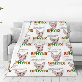Sfinkso katės apibrėžimas Antklodė Lovatiesė ant lovos Minkštas sofos užvalkalas ant lovos