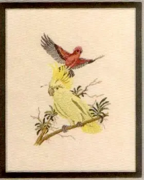 Papūgos ir paukščio 34-42 siuvinėjimo rinkiniai, kryžminio dygsnio rinkiniai, medvilnės frabric 